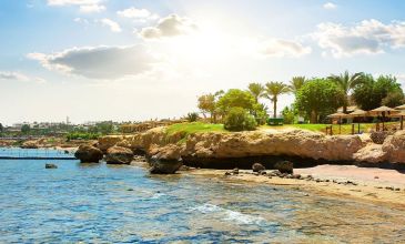 Pegasus ile İstanbul'dan Kızıldeniz Rüyası Prestij Sharm El Sheikh Turu 3 Gece (397)