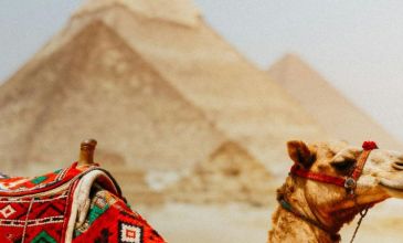 Kurban Bayramı Özel Kızıldenizden Piramitlere Prestij Kahire & Sharm Turu 19 Mayıs İstanbul Hareketli Freebird Hava Yolları ile Kahire Şehir Turu Dahil 6 Gece 7 Gün (432)