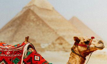 Kurban Bayramı Özel Kızıldenizden Piramitlere Prestij Kahire & Sharm Turu 19 Mayıs İstanbul Hareketli Freebird Hava Yolları ile Kahire Şehir Turu Dahil 6 Gece 7 Gün (432)